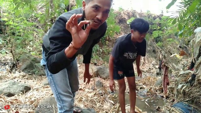 NIAT MENCARI BIYAWAK MALAH MENEMUKAN KURA-KURA DAN UDANG смотреть онлайн