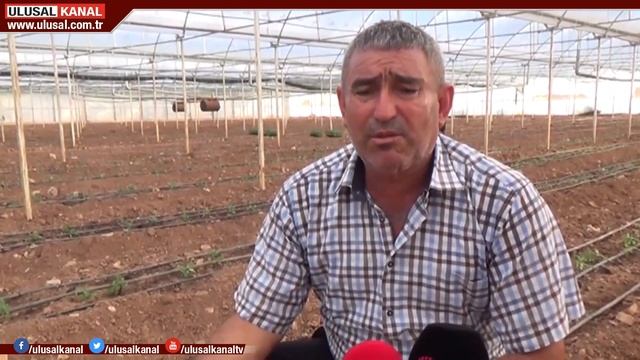 Domates fidesi dikimi başladı смотреть онлайн