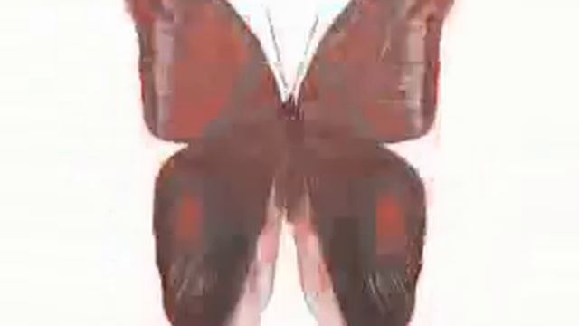 MOBY - GO (Baw Deep Mix) смотреть онлайн