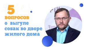 5 вопросов о  выгуле собак во дворе жилого дома