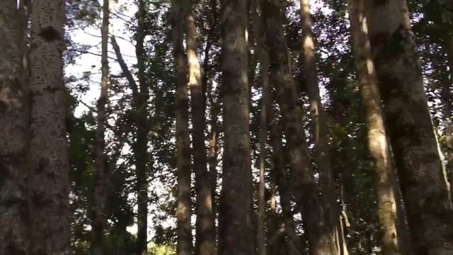 Queules. смотреть онлайн