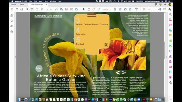 #30 Export Interactive Documents | Intro to InDesign Course смотреть онлайн