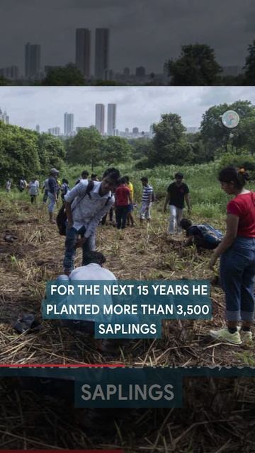 Sandeep Athalye's family has planted over 7700 saplings in Aarey Colony, Mumbai смотреть онлайн