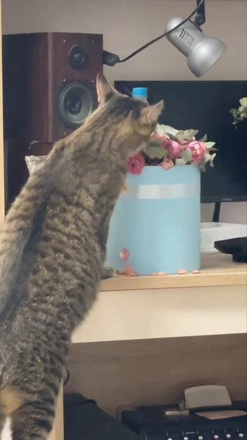 Защита от вирусов смотреть онлайн