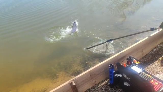 WhatsApp Video 2025-04-14 at 10.01.33 смотреть онлайн