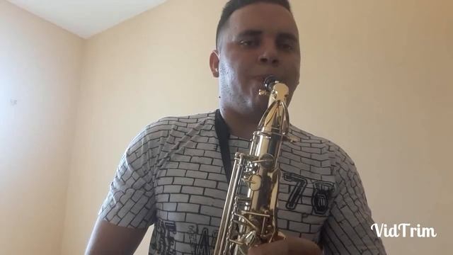 Love by Grace - Lara Fabian. Luis Sax Cover. смотреть онлайн