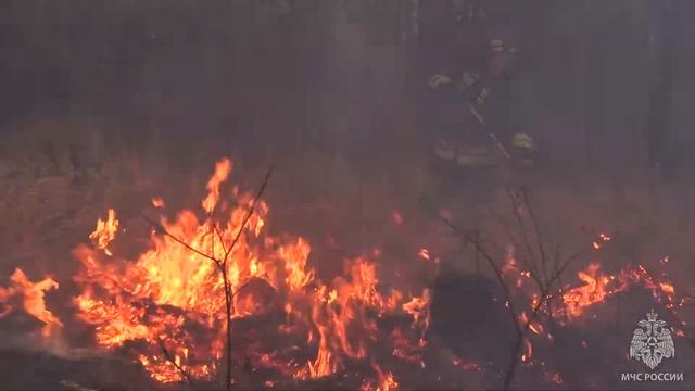 Сотрудниками МЧС России ликвидировано возгорание вблизи села Голубичное смотреть онлайн