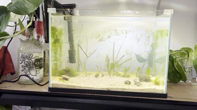 Seagrass Aquarium смотреть онлайн