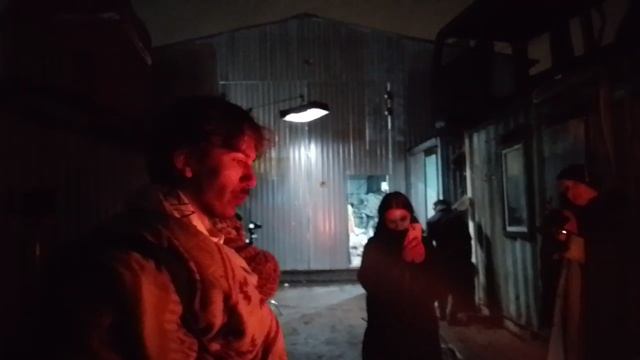 Костер в тумане. смотреть онлайн