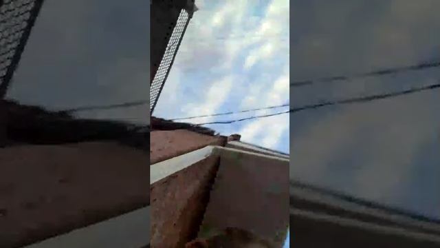 ГУЛЯЮ смотреть онлайн