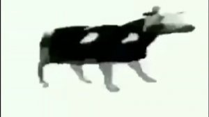 Чин чан чон чин