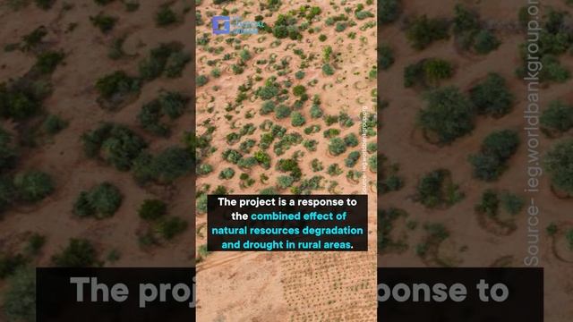 Africa’s Ambitious Great Green Wall Initiative Aims To Combat Climate Change смотреть онлайн