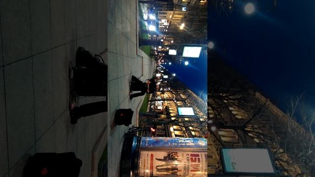 Музыкант с Большой Конюшенной