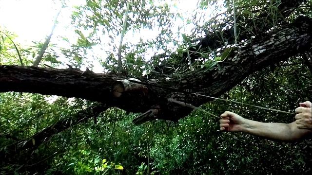 Пила цепная, ветка ивы диаметром 9 см смотреть онлайн
