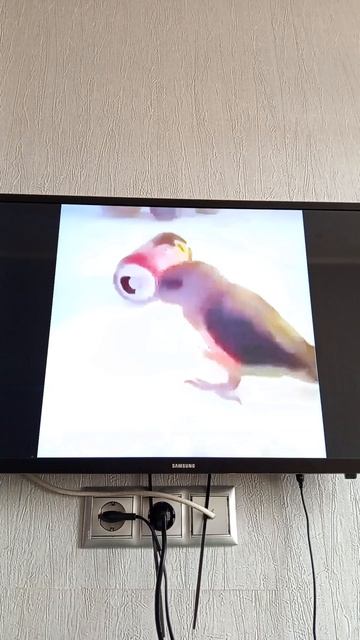 туса смотреть онлайн