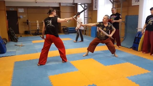 иппоны-дерево смотреть онлайн