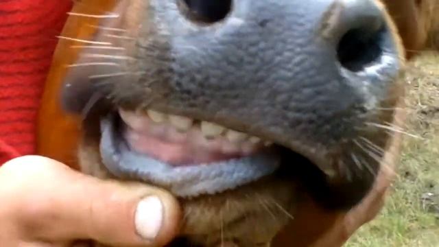 2012 06 29 295 смотреть онлайн