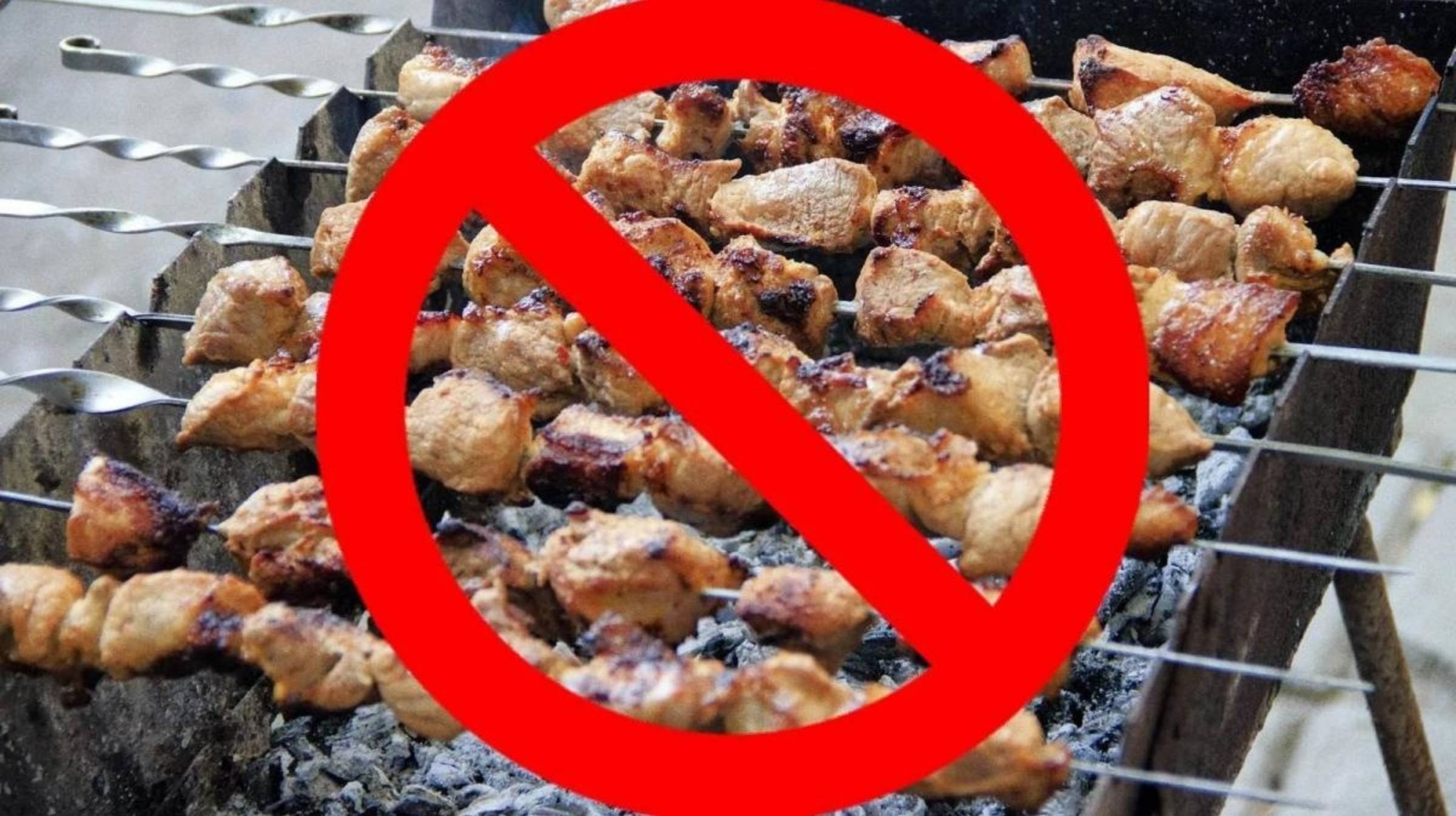 Что будет, если дрон увидит шашлыки в саду смотреть онлайн