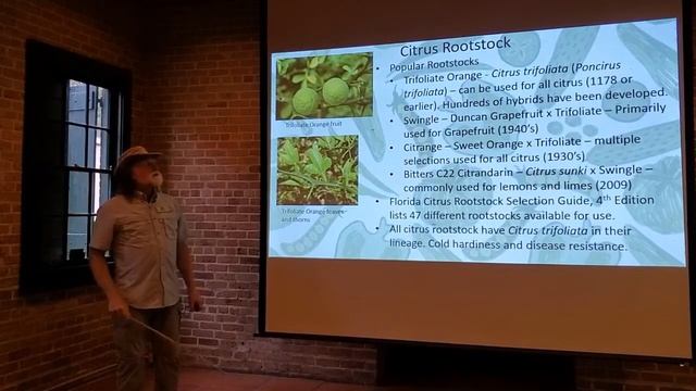 Citrus - Module 1.8 - Rootstock & Dwarf Citrus смотреть онлайн