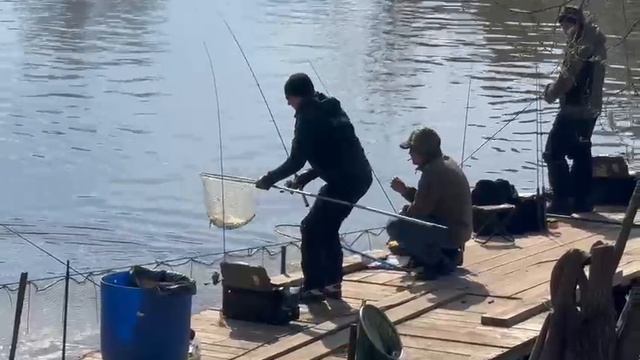Спорт зона смотреть онлайн