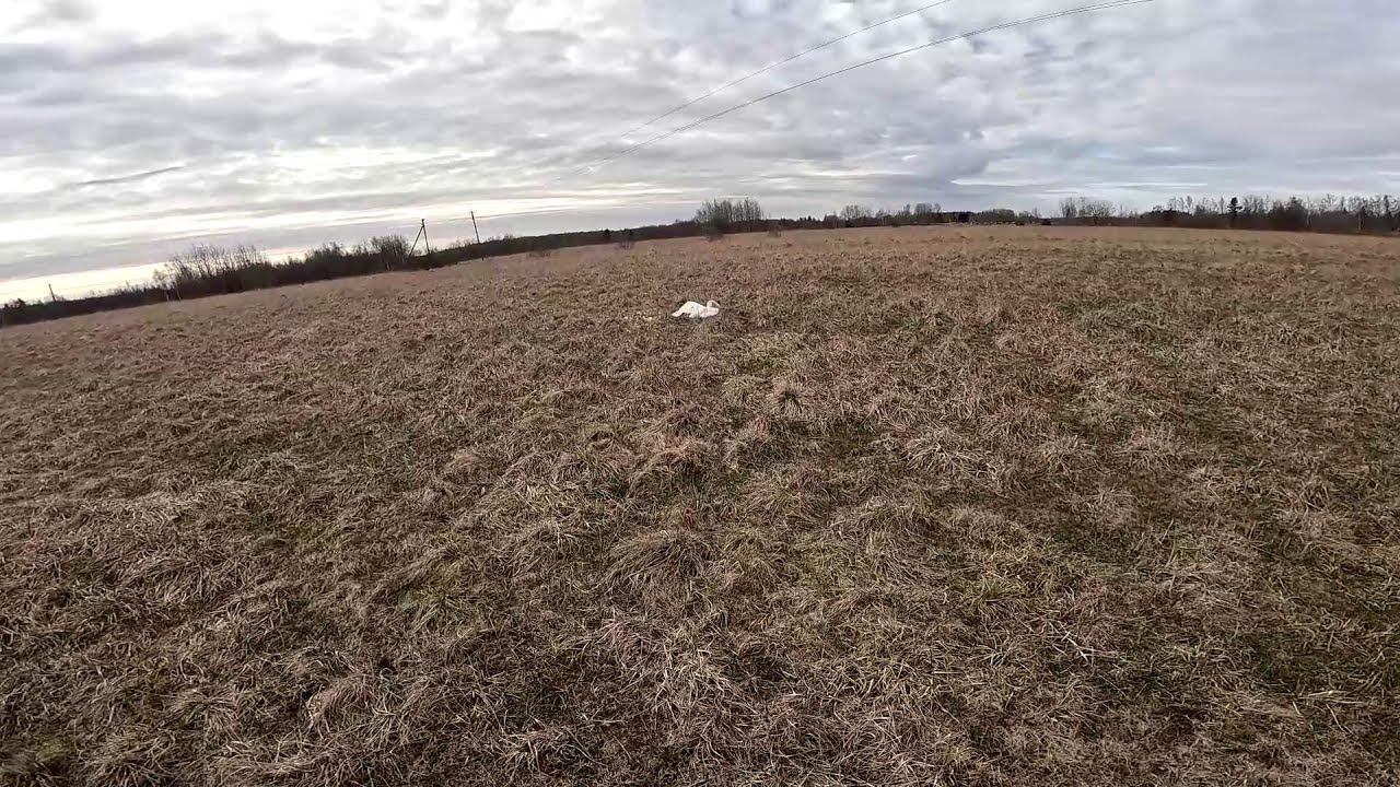 Кто его убил ? Такой сосед мне не нужен ! ХУТОР В ЛЕСУ №660 смотреть онлайн