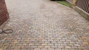 Как убрать мох с плитки