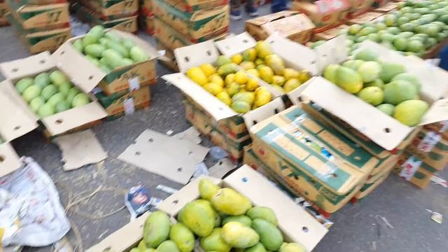 May 30, 2024 दिल्ली 🥭 आम के भाव delhi mango market price #mango delhi fruit market #mangomarket смотреть онлайн