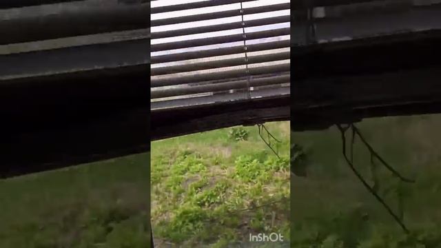 10034251 смотреть онлайн