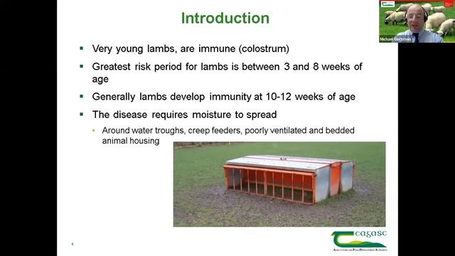 Let's Talk Sheep - Nematodirus / Coccidiosis in Lambs смотреть онлайн
