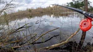 КОГДА СОЛНЦЕ САДИТЬСЯ, поплавок НАЧИНАЕТ УТАСКИВАТЬ. Рыбалка на реке
