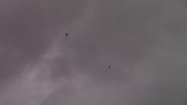 Ф. 240. смотреть онлайн