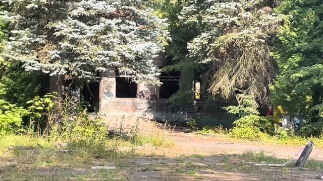 Хотели снять видео про Инстасамку но…