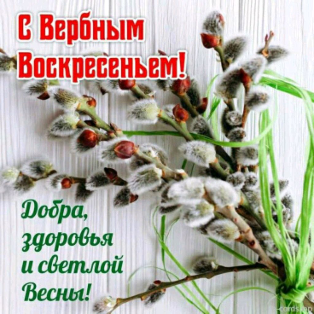 PUBG смотреть онлайн