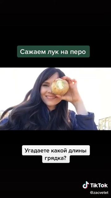 Посадка лука на перо смотреть онлайн