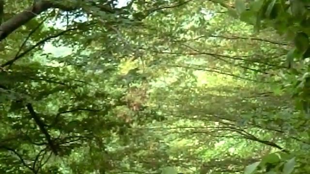 Вид с участка смотреть онлайн