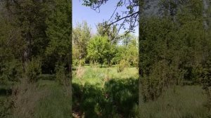 Мудрость ПРЕДКОВ и ОПЫТ жизни 2...