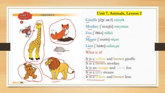 1 ci sinif ingilis dili unit 7 lesson 2(bolme 7 ders 2) смотреть онлайн