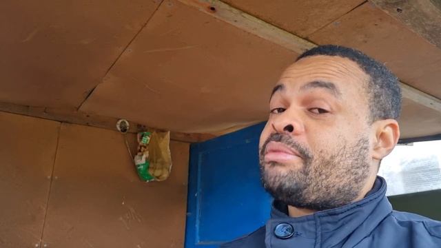 Planting Tomato Seeds Step-by-Step Guide for Beginners #tomato #sowingseeds #allotment смотреть онлайн