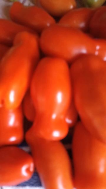 дрова. смотреть онлайн