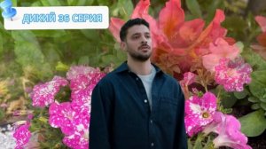 Дикий 36 серия русская озвучка | Кто умрет в финале | Yabani 36. Bölüm