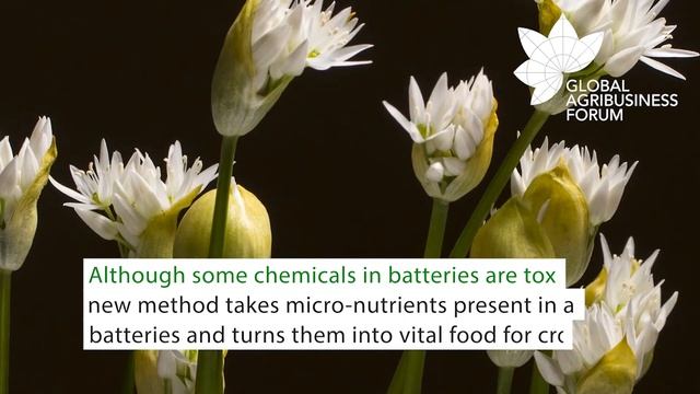 LITHIUM BATTERY RECYCLING IN AUSTRALIA смотреть онлайн