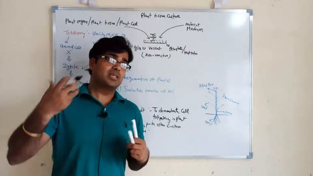 Plant Tissue Culture | Agriculture Biotechnology | Importance of Plant Tissue Culture смотреть онлайн