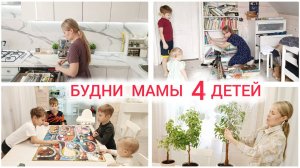 БУДНИ МАМЫ 4 ДЕТЕЙ 🧒🧒🧒👧  ГОТОВЛЮ 🫕 НАВОДИМ ПОРЯДОК ✨ ЖДУ ВЕСНУ 🌱 ДЗЕН
