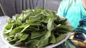 ЭТО САМЫЙ ВКУСНЫЙ ВЕСЕННИЙ СУП! (НАУЧИЛА МОЯ МАМА) ПИРОГ С ЯБЛОКАМИ