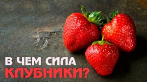Все тайны клубники: как вырастить вкусную и полезную ягоду?