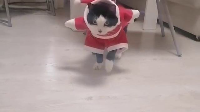 Новый год закончился, а праздник в душе нет! смотреть онлайн