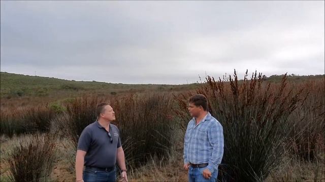 Week 36: Interview with thatch supplier, Piet Lotz смотреть онлайн