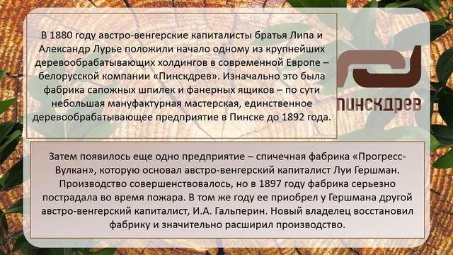 Древоlive смотреть онлайн