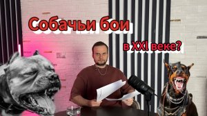 Собачьи бои