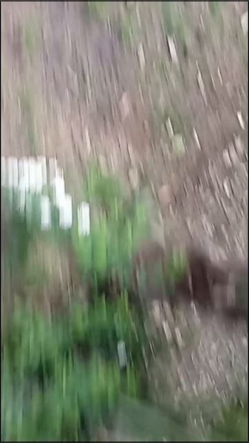 гуляю на улице